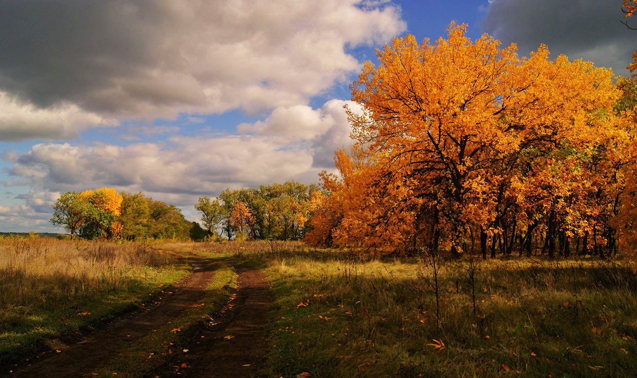 *** осень,облака