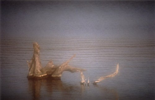 нЕчто 