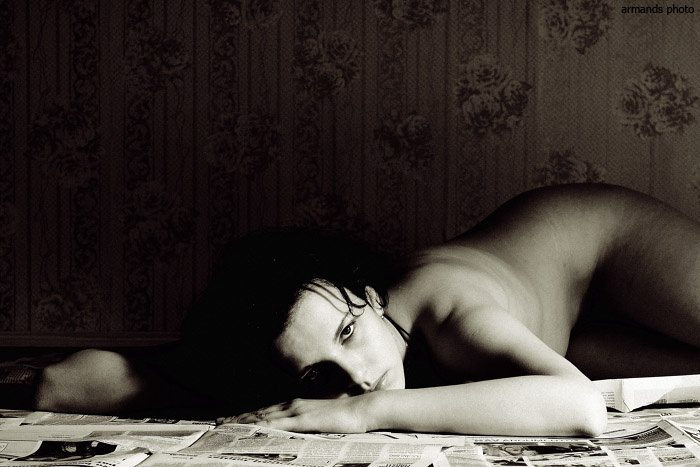 daydream 