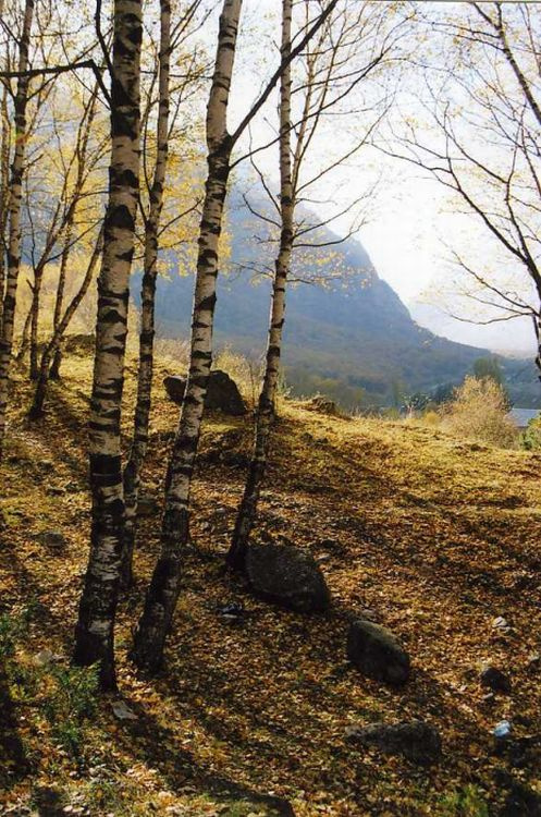 осень октябрь. приэльбрусье.