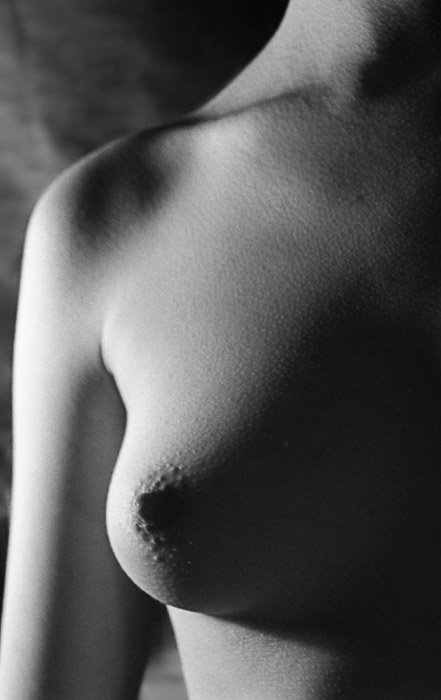nude nu nude ню портрет