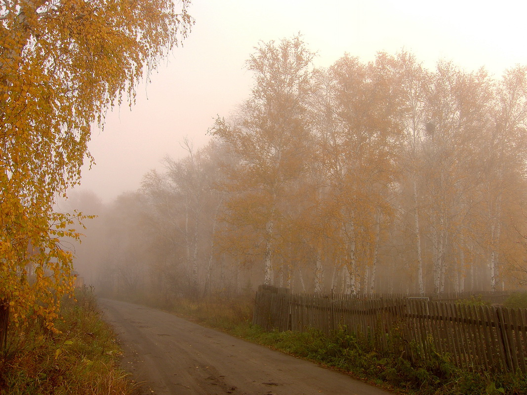 Осенняя, туманная... 