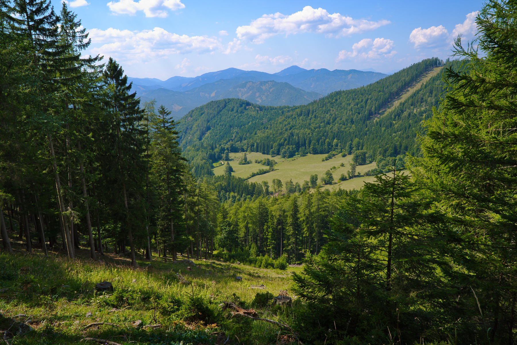 Naturpark Almenland (AT) 3 