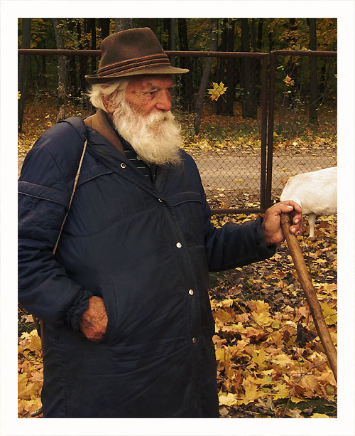 Осенний пастушок 