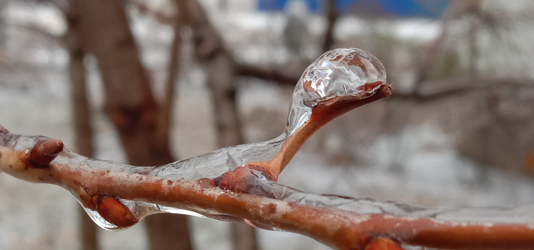 Замороженая капляя Лёд капля зима