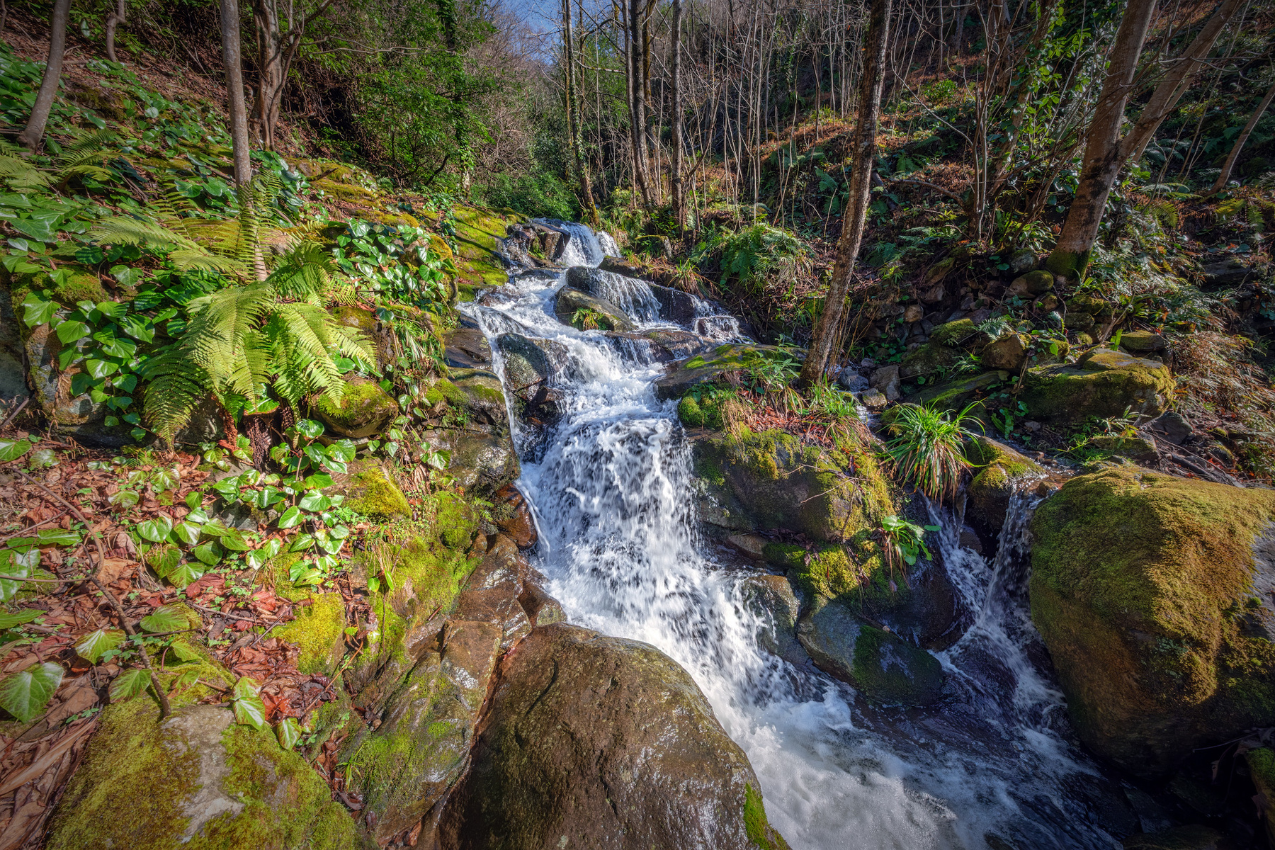 Spring Waterfall In Mtirala Park mtirala park creek spring mountains forest jungles nature landscape scenery travel outdoors georgia sakartvelo adjara chizh