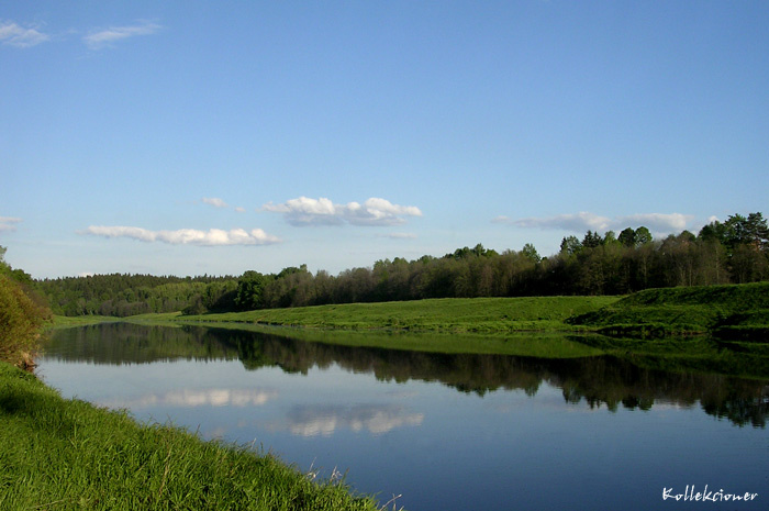 Первозданная красота лес река вода небо облака трава деревья