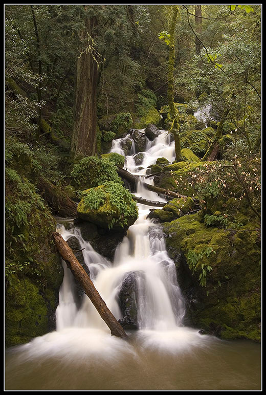 Лесной Водопад с Бревном Cataract Falls Водопад