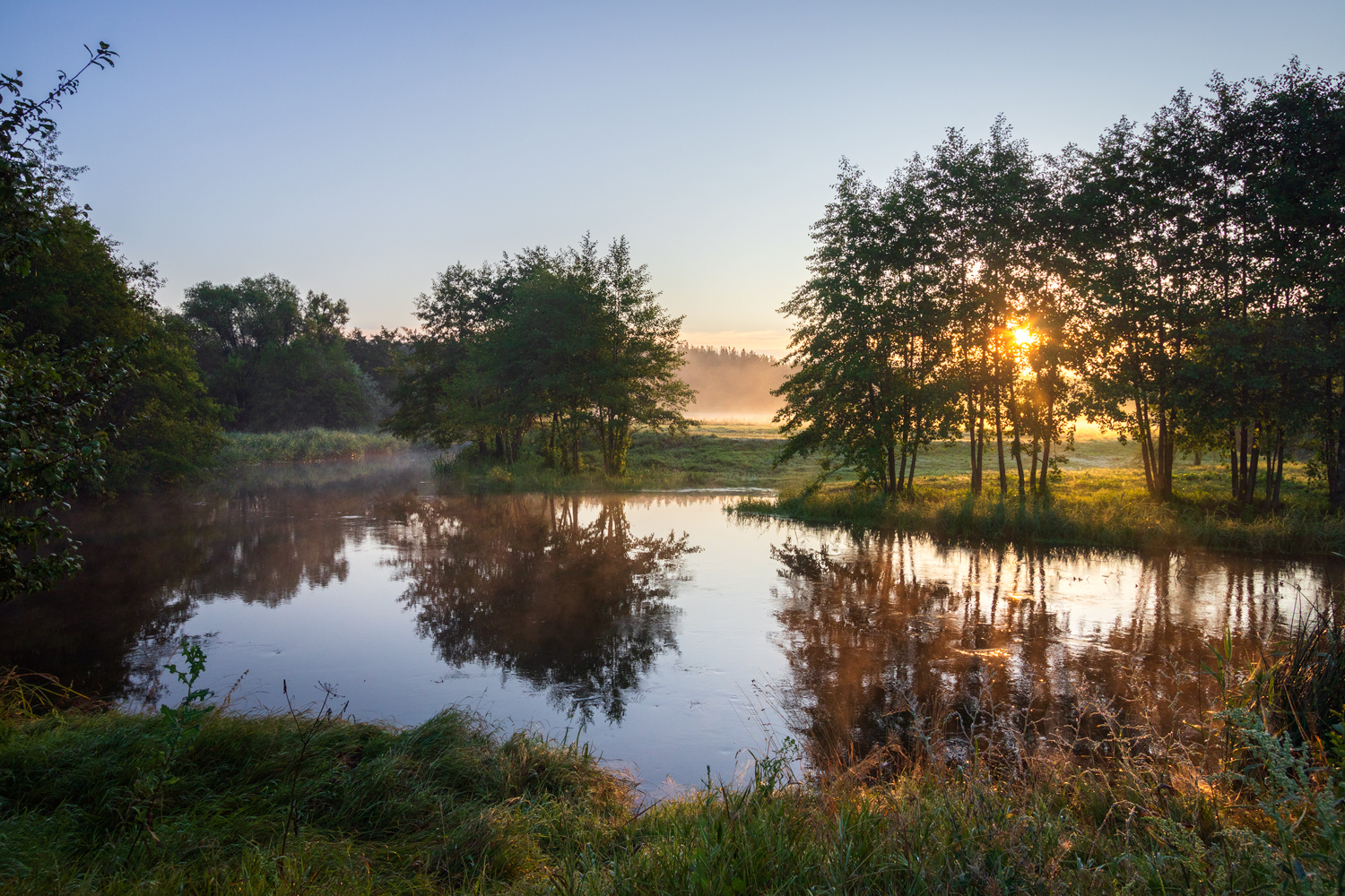 *** 