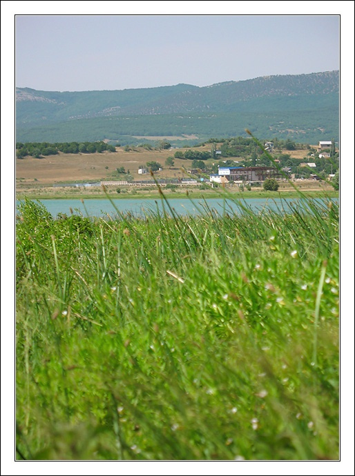 Ковыль 