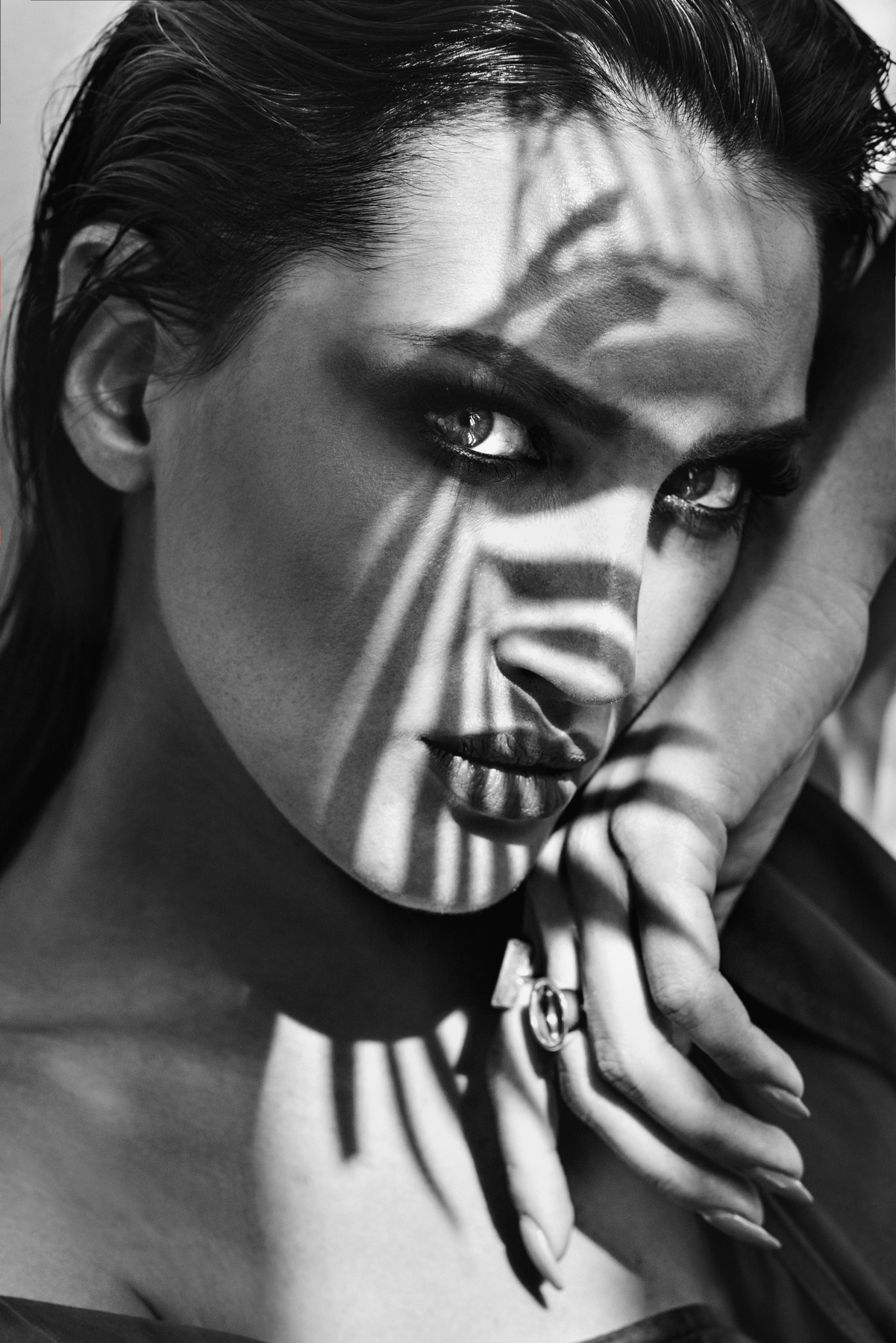 Eye of the Tiger 