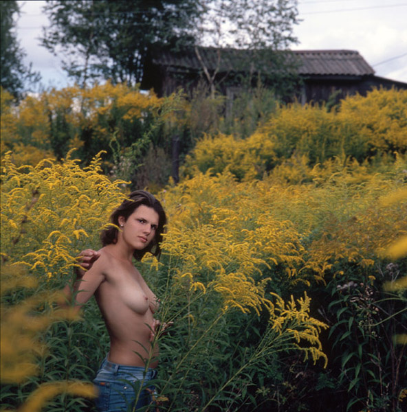 yellow field 