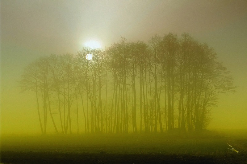 MORNING - ЛАЙМ 