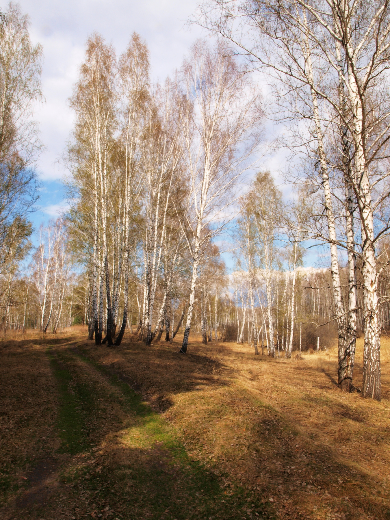 Весна. Май.  