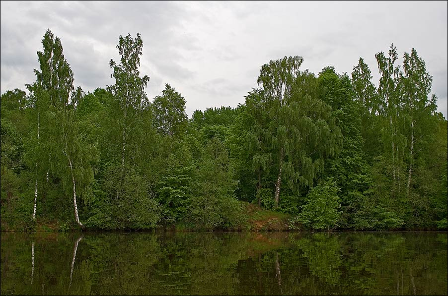 Июнь. река Дубна Александровка