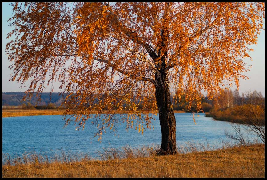 Вечер... Siberia.