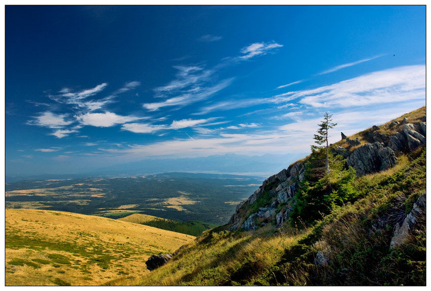 Моя Болгария 