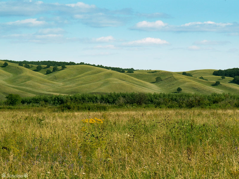 Башкирские просторы просторы, Башкирия, гора, поле