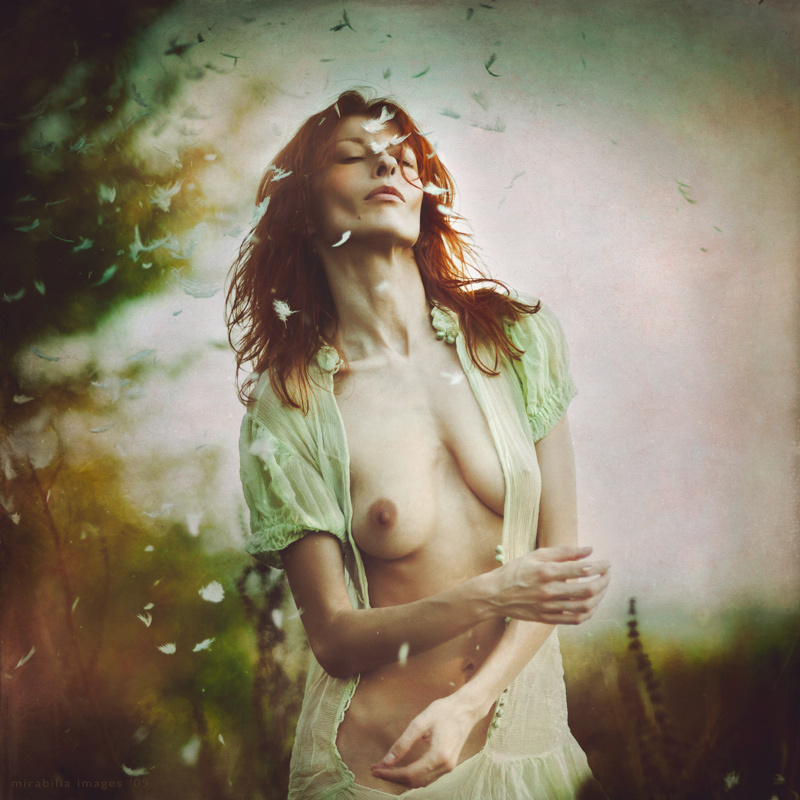 The Wind and Me II 