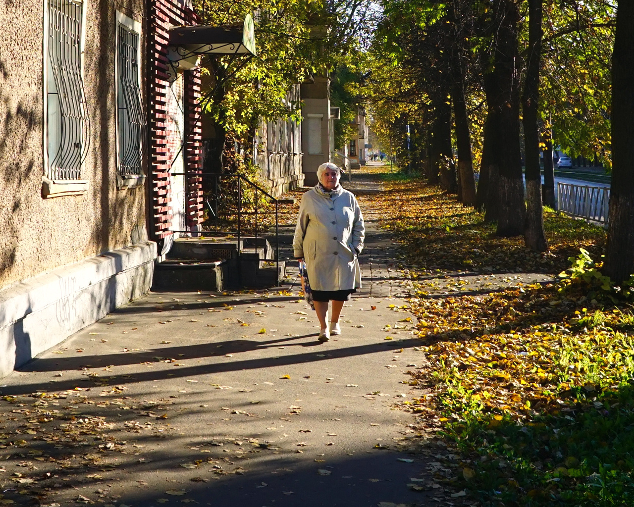 Осень жизни 