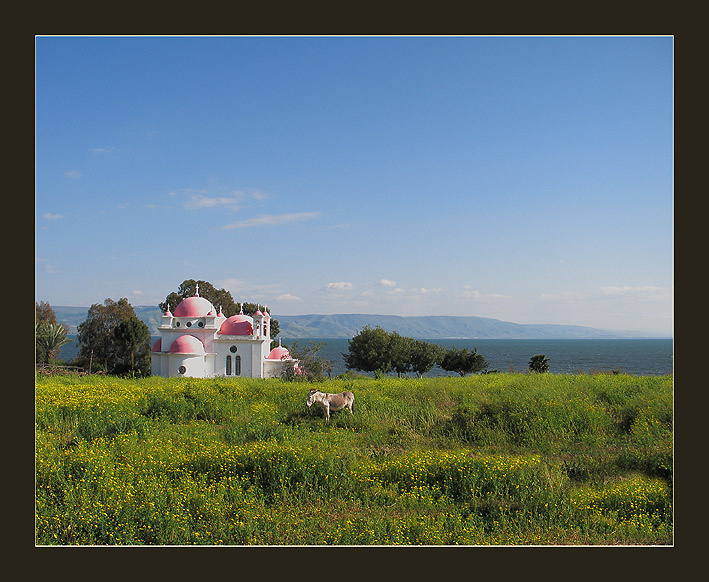 Пасторальная картинка с осликом 