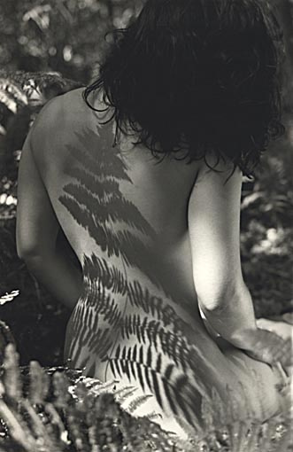 Nudes_004 : Тени папоротнтка. 