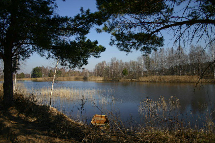 Тишина 