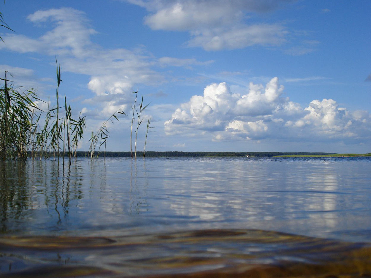 наивно 
