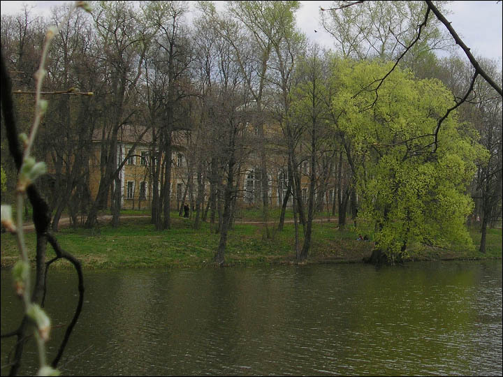 новая весна старого парка парк пруд весна гулять