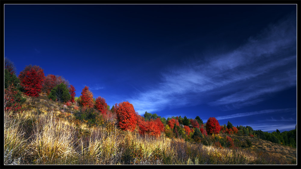 Autumn colours of Idaho autumn, осень