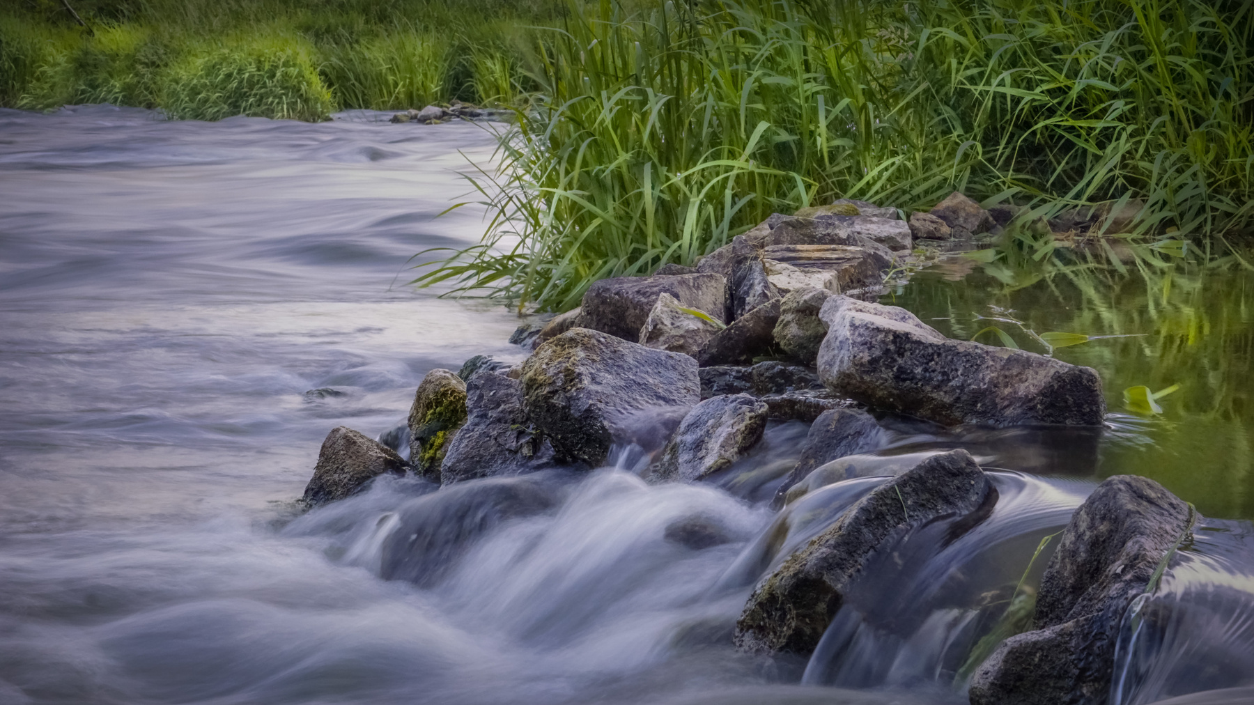 *** вода река камни вечер тростник