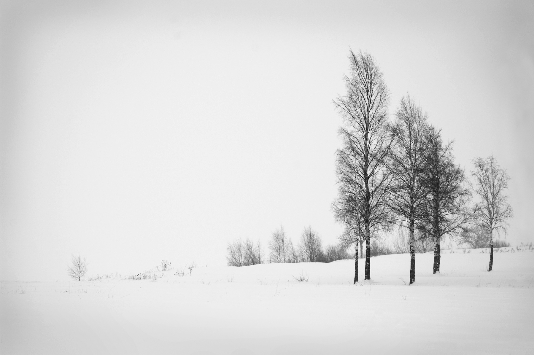 Quietness 