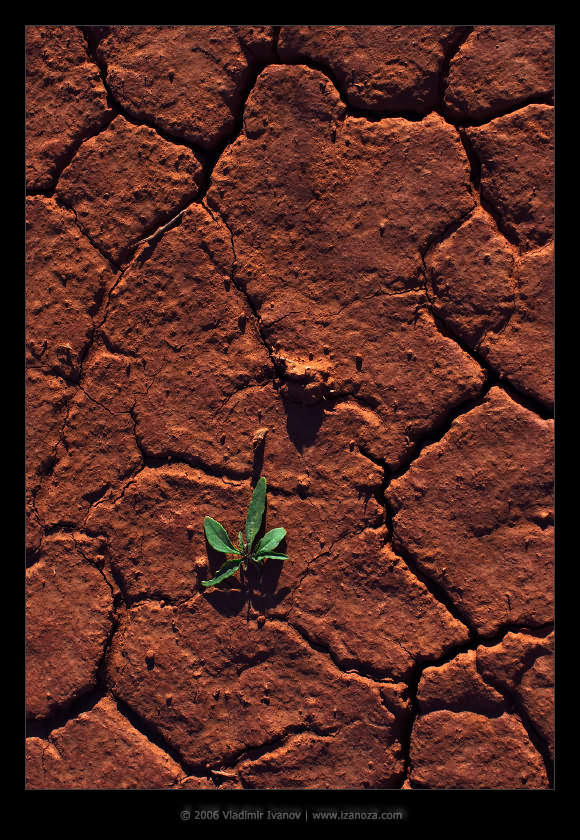 И на Марсе будут яблони цвести Monument Valley Navajo Tribal Park Arizona US