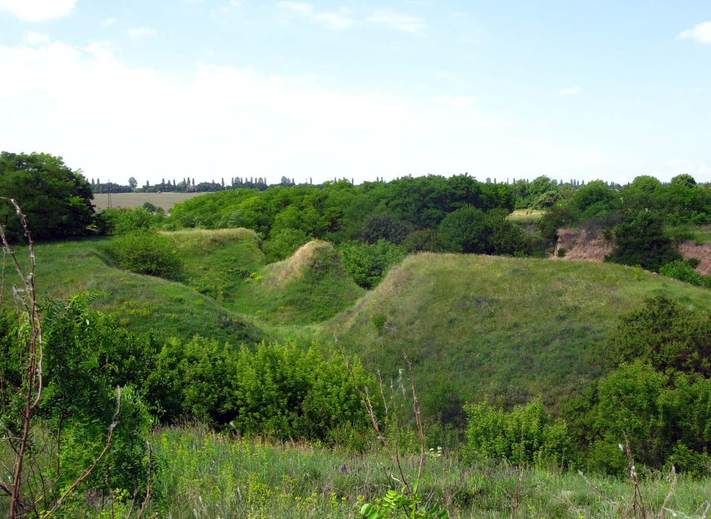 Почти Bad Land  Геосайт, морена, Домоткань, Днепровское оледенение, денудация, эрозионное расчленение