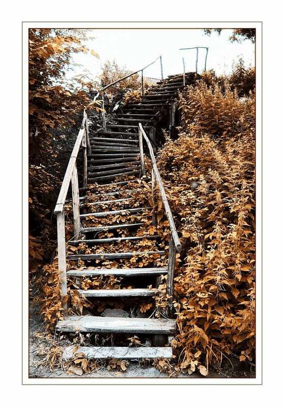 stairway to heaven stairway лестница