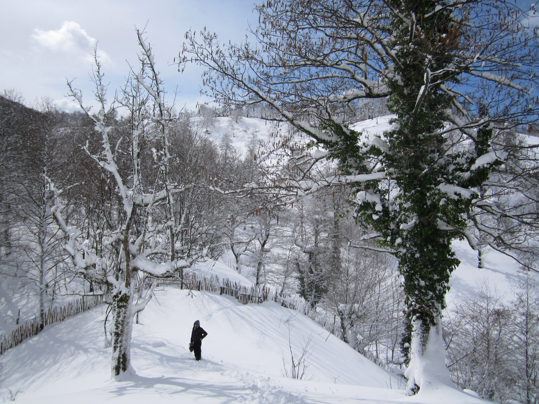 Erketi. Erketi Guria Travel Georgia Грузия Гурия Природа