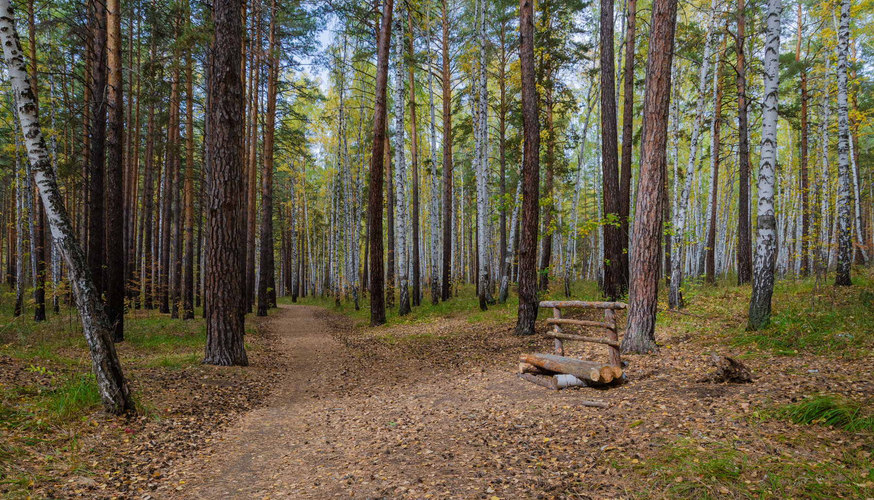 В осеннем парке 