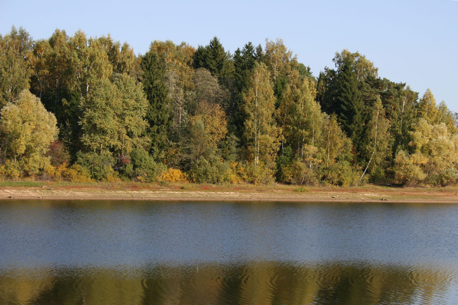 Осенняя рыбалка Осень,река,рыбалка,природа