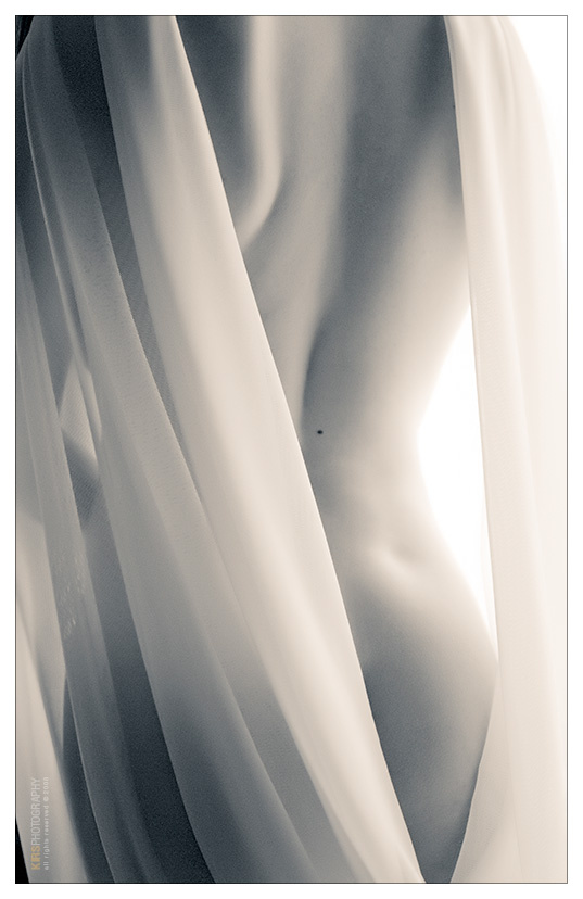 DSC0420 