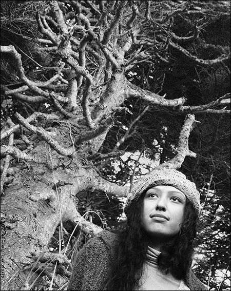tree_inside 