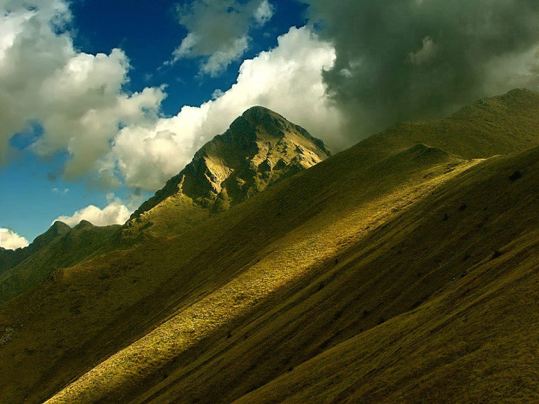 2169m 
