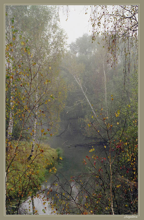 Осенняя Осень река