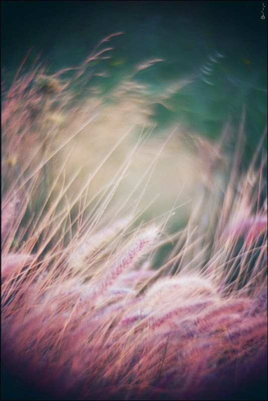 *** _twirlings_