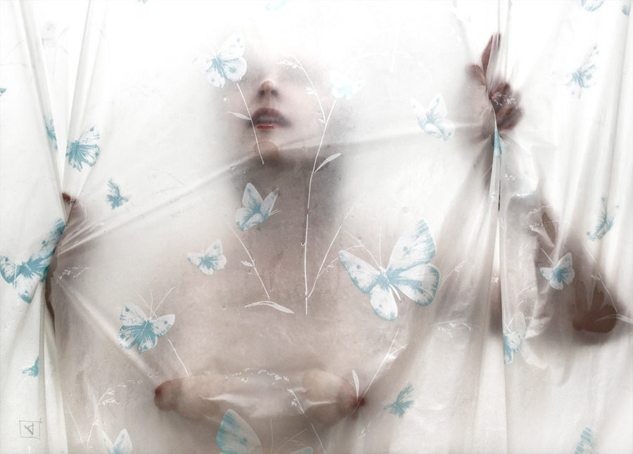 Solamente las mariposas Butterflies, d-photo,