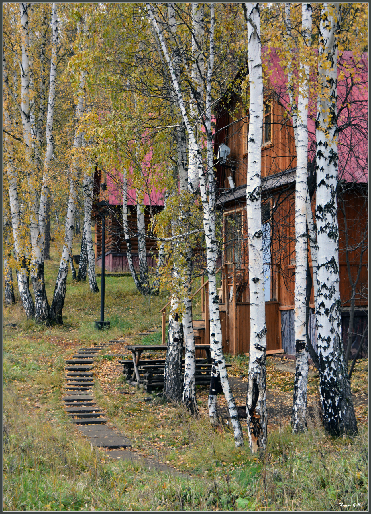Краски осени 3 осень отдых 