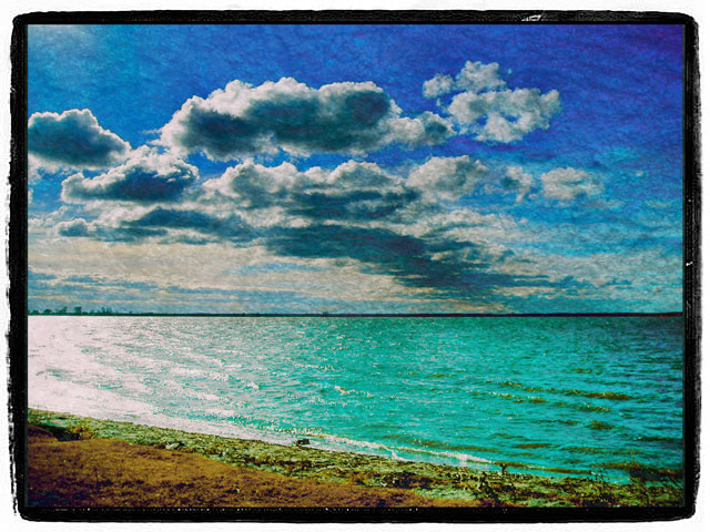 Pure Shores 