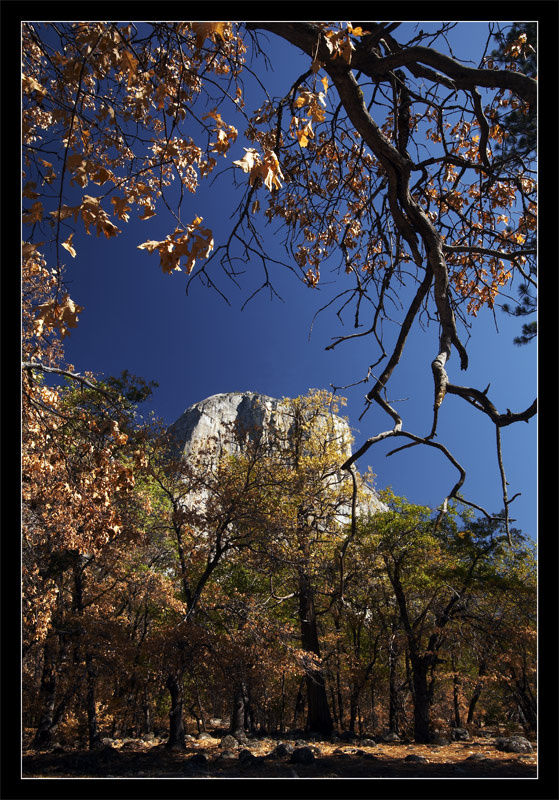 El Capitano, Yosemite El Capitano, Yosemite