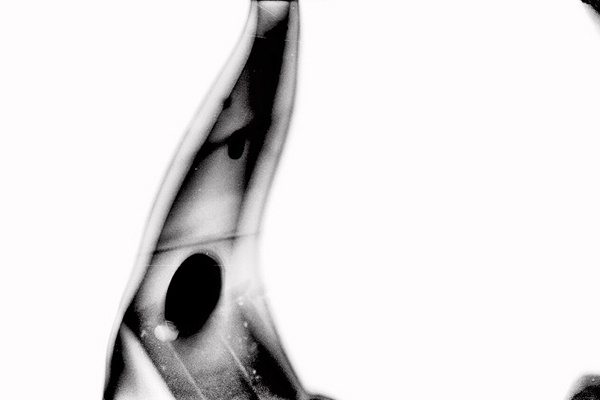 how fragile we are 
