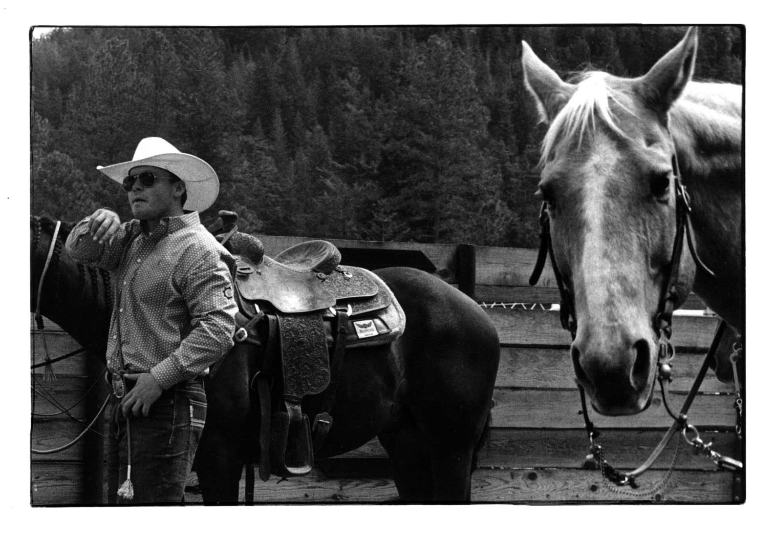... b w print