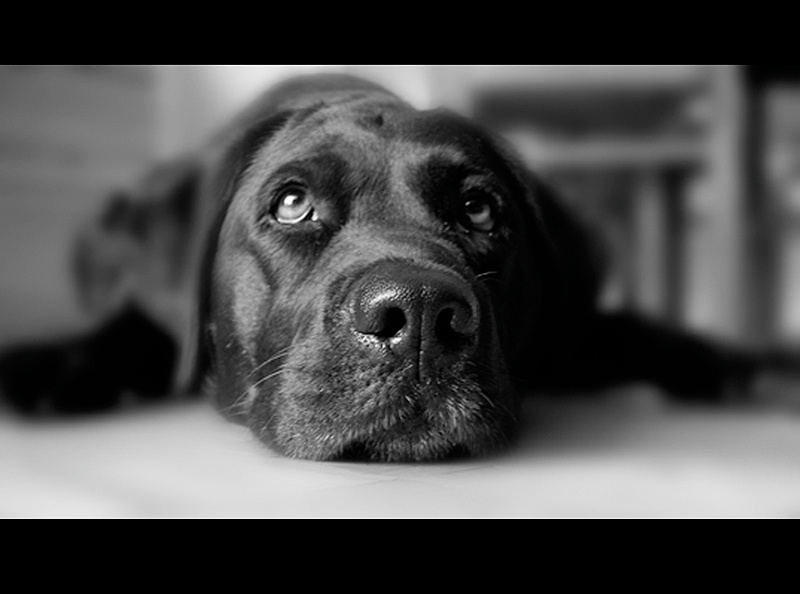 my love:) 